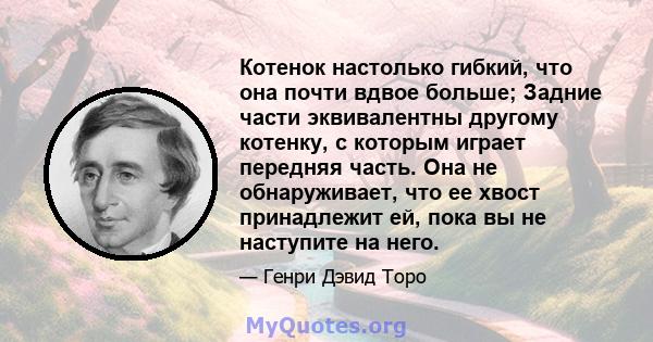 Котенок настолько гибкий, что она почти вдвое больше; Задние части эквивалентны другому котенку, с которым играет передняя часть. Она не обнаруживает, что ее хвост принадлежит ей, пока вы не наступите на него.