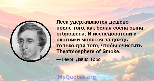 Леса удерживаются дешево после того, как белая сосна была отброшена; И исследователи и охотники молятся за дождь только для того, чтобы очистить Theatmosphere of Smoke.