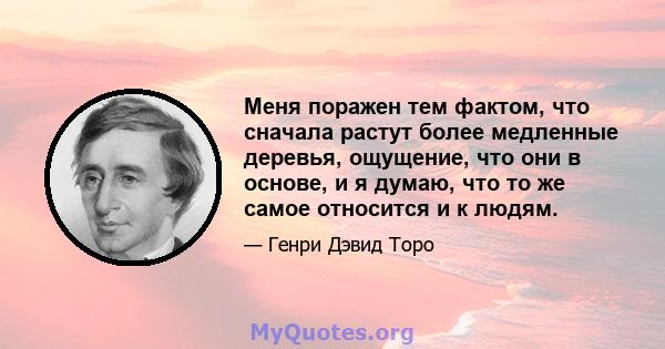 Меня поражен тем фактом, что сначала растут более медленные деревья, ощущение, что они в основе, и я думаю, что то же самое относится и к людям.