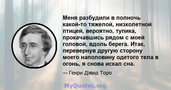 Меня разбудили в полночь какой-то тяжелой, низколетной птицей, вероятно, тупика, прокачавшись рядом с моей головой, вдоль берега. Итак, перевернув другую сторону моего наполовину одетого тела в огонь, я снова искал сна.