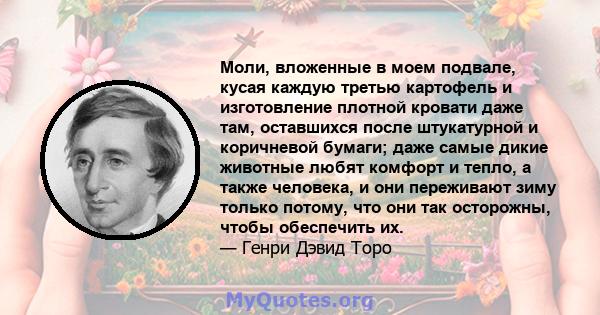 Моли, вложенные в моем подвале, кусая каждую третью картофель и изготовление плотной кровати даже там, оставшихся после штукатурной и коричневой бумаги; даже самые дикие животные любят комфорт и тепло, а также человека, 