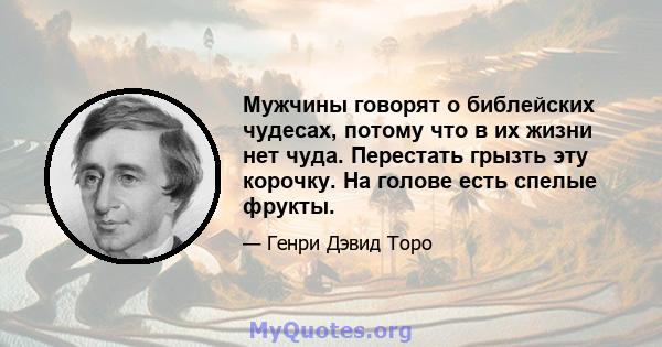 Мужчины говорят о библейских чудесах, потому что в их жизни нет чуда. Перестать грызть эту корочку. На голове есть спелые фрукты.