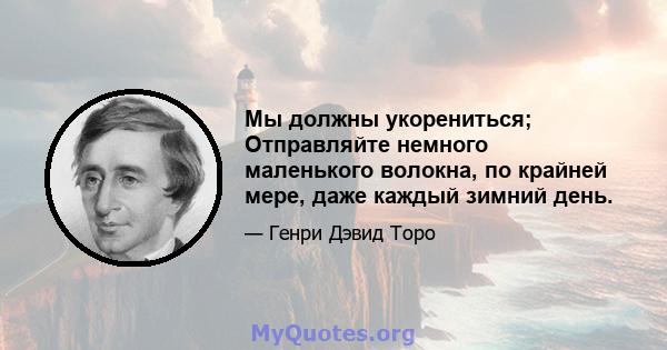 Мы должны укорениться; Отправляйте немного маленького волокна, по крайней мере, даже каждый зимний день.