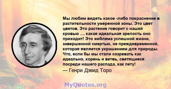 Мы любим видеть какое -либо покраснение в растительности умеренной зоны. Это цвет цветов. Это растение говорит с нашей кровью .... какая идеальная зрелость оно приходит! Это эмблема успешной жизни, завершенной смертью,