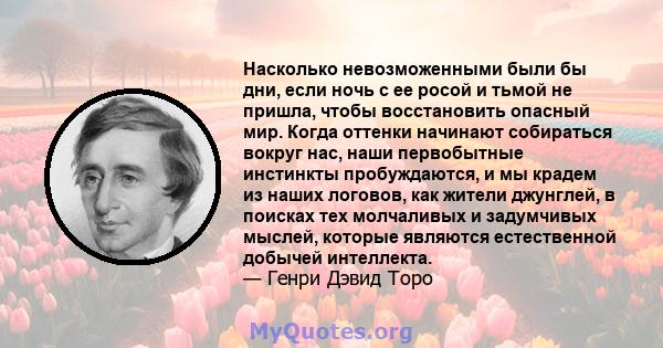 Насколько невозможенными были бы дни, если ночь с ее росой и тьмой не пришла, чтобы восстановить опасный мир. Когда оттенки начинают собираться вокруг нас, наши первобытные инстинкты пробуждаются, и мы крадем из наших