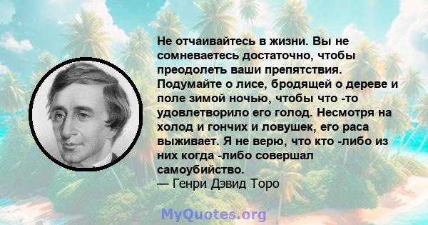 Не отчаивайтесь в жизни. Вы не сомневаетесь достаточно, чтобы преодолеть ваши препятствия. Подумайте о лисе, бродящей о дереве и поле зимой ночью, чтобы что -то удовлетворило его голод. Несмотря на холод и гончих и