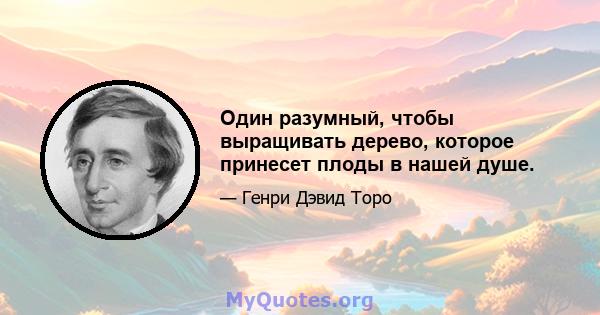 Один разумный, чтобы выращивать дерево, которое принесет плоды в нашей душе.