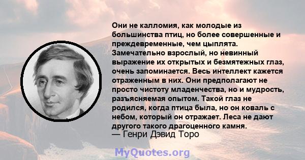 Они не калломия, как молодые из большинства птиц, но более совершенные и преждевременные, чем цыплята. Замечательно взрослый, но невинный выражение их открытых и безмятежных глаз, очень запоминается. Весь интеллект