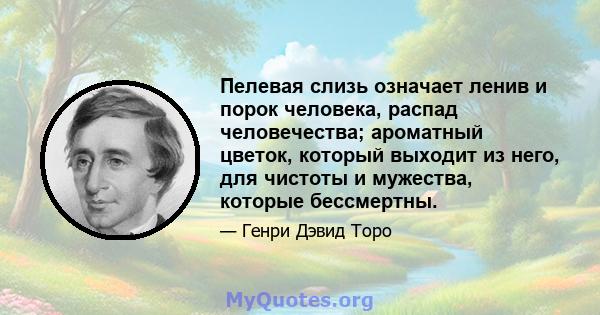 Пелевая слизь означает ленив и порок человека, распад человечества; ароматный цветок, который выходит из него, для чистоты и мужества, которые бессмертны.