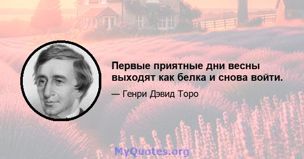 Первые приятные дни весны выходят как белка и снова войти.