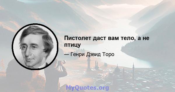 Пистолет даст вам тело, а не птицу