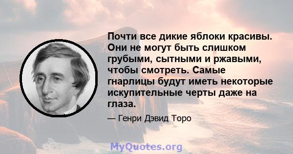 Почти все дикие яблоки красивы. Они не могут быть слишком грубыми, сытными и ржавыми, чтобы смотреть. Самые гнарлицы будут иметь некоторые искупительные черты даже на глаза.