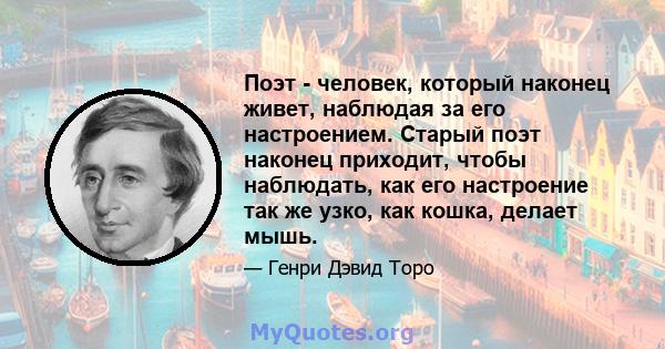 Поэт - человек, который наконец живет, наблюдая за его настроением. Старый поэт наконец приходит, чтобы наблюдать, как его настроение так же узко, как кошка, делает мышь.