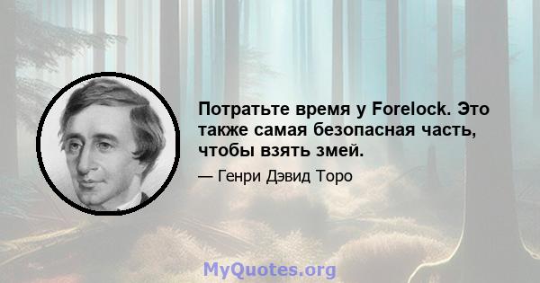 Потратьте время у Forelock. Это также самая безопасная часть, чтобы взять змей.