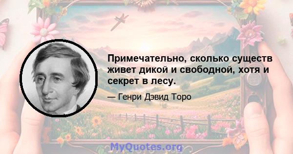 Примечательно, сколько существ живет дикой и свободной, хотя и секрет в лесу.