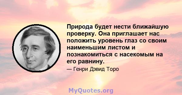 Природа будет нести ближайшую проверку. Она приглашает нас положить уровень глаз со своим наименьшим листом и познакомиться с насекомым на его равнину.