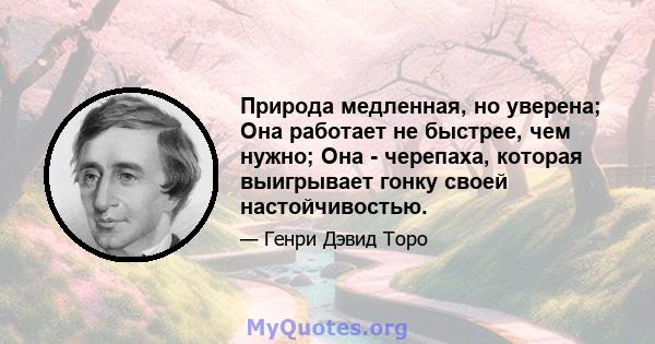 Природа медленная, но уверена; Она работает не быстрее, чем нужно; Она - черепаха, которая выигрывает гонку своей настойчивостью.