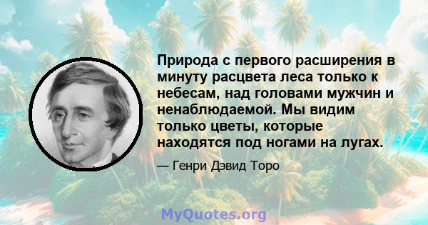 Природа с первого расширения в минуту расцвета леса только к небесам, над головами мужчин и ненаблюдаемой. Мы видим только цветы, которые находятся под ногами на лугах.