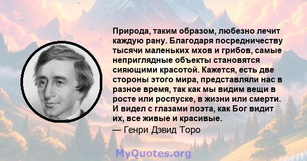 Природа, таким образом, любезно лечит каждую рану. Благодаря посредничеству тысячи маленьких мхов и грибов, самые неприглядные объекты становятся сияющими красотой. Кажется, есть две стороны этого мира, представляли нас 