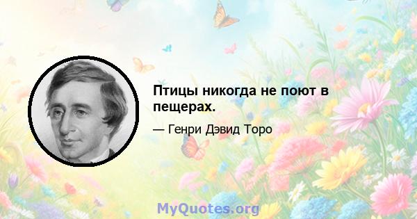 Птицы никогда не поют в пещерах.