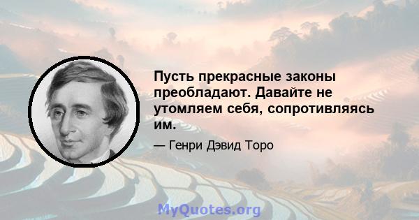 Пусть прекрасные законы преобладают. Давайте не утомляем себя, сопротивляясь им.