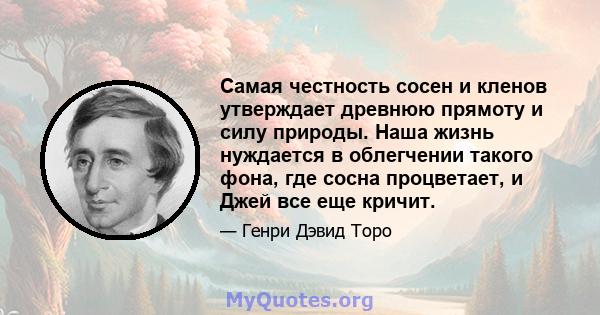 Самая честность сосен и кленов утверждает древнюю прямоту и силу природы. Наша жизнь нуждается в облегчении такого фона, где сосна процветает, и Джей все еще кричит.