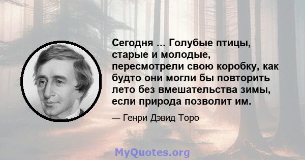 Сегодня ... Голубые птицы, старые и молодые, пересмотрели свою коробку, как будто они могли бы повторить лето без вмешательства зимы, если природа позволит им.