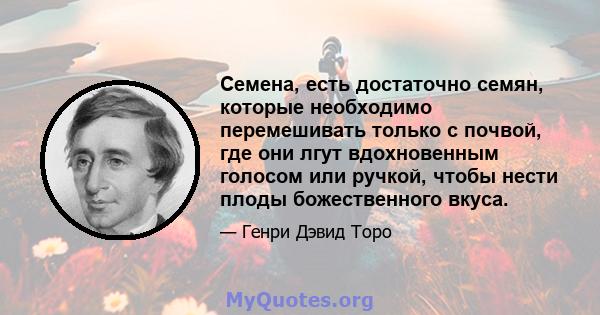 Семена, есть достаточно семян, которые необходимо перемешивать только с почвой, где они лгут вдохновенным голосом или ручкой, чтобы нести плоды божественного вкуса.