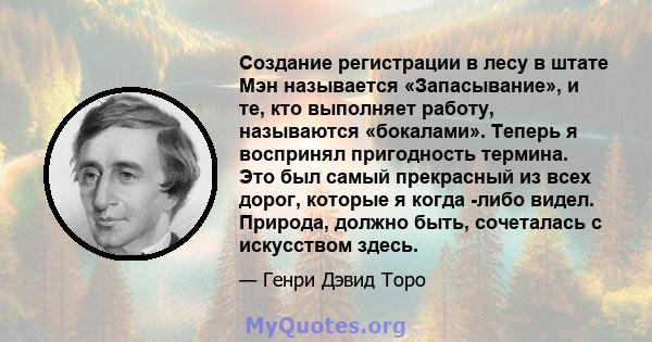 Создание регистрации в лесу в штате Мэн называется «Запасывание», и те, кто выполняет работу, называются «бокалами». Теперь я воспринял пригодность термина. Это был самый прекрасный из всех дорог, которые я когда -либо