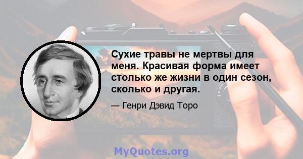 Сухие травы не мертвы для меня. Красивая форма имеет столько же жизни в один сезон, сколько и другая.