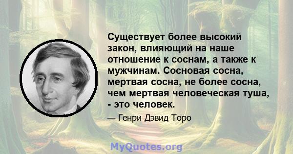 Существует более высокий закон, влияющий на наше отношение к соснам, а также к мужчинам. Сосновая сосна, мертвая сосна, не более сосна, чем мертвая человеческая туша, - это человек.