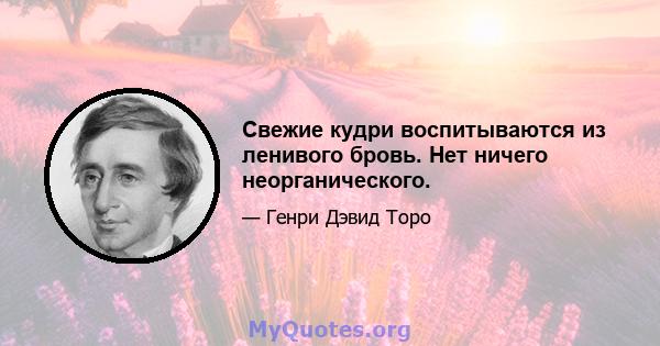 Свежие кудри воспитываются из ленивого бровь. Нет ничего неорганического.