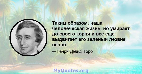 Таким образом, наша человеческая жизнь, но умирает до своего корня и все еще выдвигает его зеленый лезвие вечно.