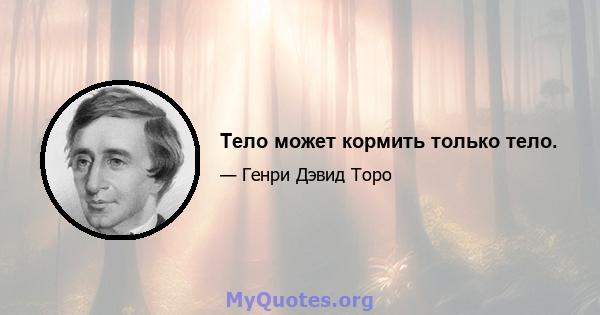 Тело может кормить только тело.