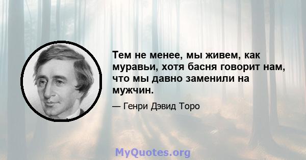 Тем не менее, мы живем, как муравьи, хотя басня говорит нам, что мы давно заменили на мужчин.