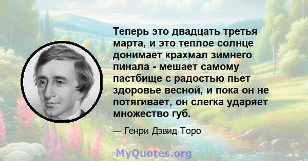 Теперь это двадцать третья марта, и это теплое солнце донимает крахмал зимнего пинала - мешает самому пастбище с радостью пьет здоровье весной, и пока он не потягивает, он слегка ударяет множество губ.