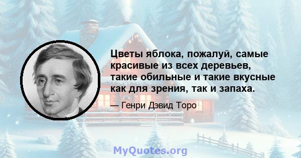 Цветы яблока, пожалуй, самые красивые из всех деревьев, такие обильные и такие вкусные как для зрения, так и запаха.