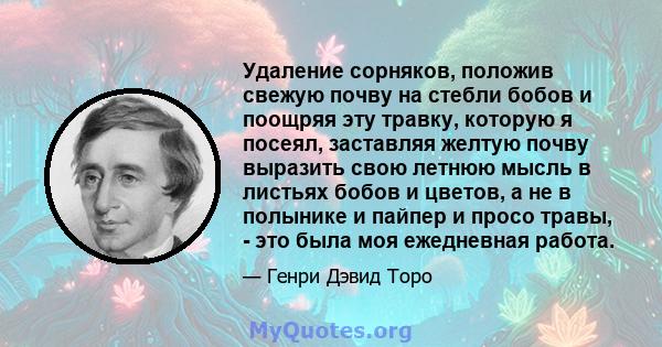 Удаление сорняков, положив свежую почву на стебли бобов и поощряя эту травку, которую я посеял, заставляя желтую почву выразить свою летнюю мысль в листьях бобов и цветов, а не в полынике и пайпер и просо травы, - это