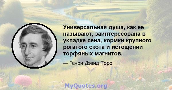 Универсальная душа, как ее называют, заинтересована в укладке сена, кормки крупного рогатого скота и истощении торфяных магнитов.