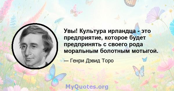 Увы! Культура ирландца - это предприятие, которое будет предпринять с своего рода моральным болотным мотыгой.