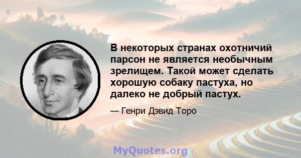 В некоторых странах охотничий парсон не является необычным зрелищем. Такой может сделать хорошую собаку пастуха, но далеко не добрый пастух.