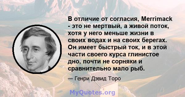 В отличие от согласия, Merrimack - это не мертвый, а живой поток, хотя у него меньше жизни в своих водах и на своих берегах. Он имеет быстрый ток, и в этой части своего курса глинистое дно, почти не сорняки и