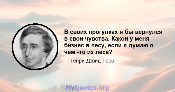 В своих прогулках я бы вернулся в свои чувства. Какой у меня бизнес в лесу, если я думаю о чем -то из леса?