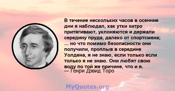 В течение нескольких часов в осенние дни я наблюдал, как утки хитро притягивают, уклоняются и держали середину пруда, далеко от спортсмена; ... но что помимо безопасности они получили, проплыв в середине Уолдена, я не