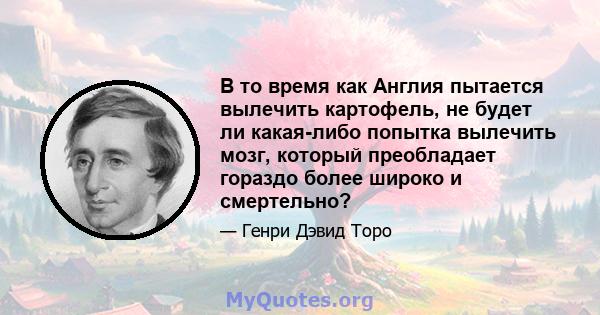 В то время как Англия пытается вылечить картофель, не будет ли какая-либо попытка вылечить мозг, который преобладает гораздо более широко и смертельно?