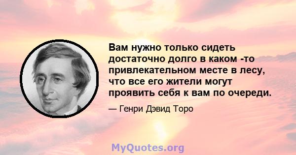 Вам нужно только сидеть достаточно долго в каком -то привлекательном месте в лесу, что все его жители могут проявить себя к вам по очереди.