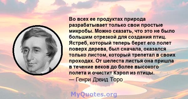 Во всех ее продуктах природа разрабатывает только свои простые микробы. Можно сказать, что это не было большим отрезкой для создания птиц. Ястреб, который теперь берет его полет поверх дерева, был сначала, оказался