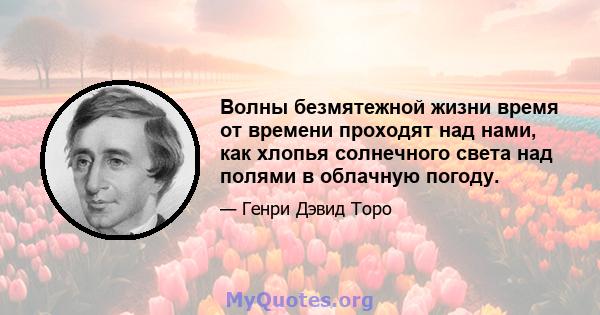 Волны безмятежной жизни время от времени проходят над нами, как хлопья солнечного света над полями в облачную погоду.