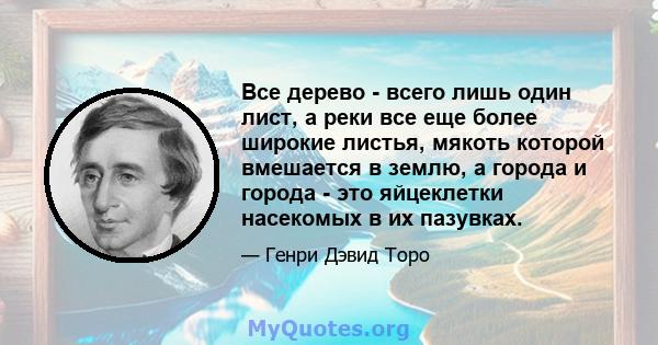 Все дерево - всего лишь один лист, а реки все еще более широкие листья, мякоть которой вмешается в землю, а города и города - это яйцеклетки насекомых в их пазувках.