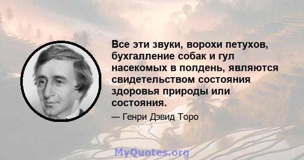 Все эти звуки, ворохи петухов, бухгалление собак и гул насекомых в полдень, являются свидетельством состояния здоровья природы или состояния.